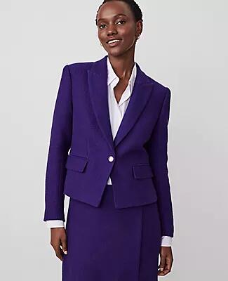 Ann Taylor Tweed Fitted Blazer Cover