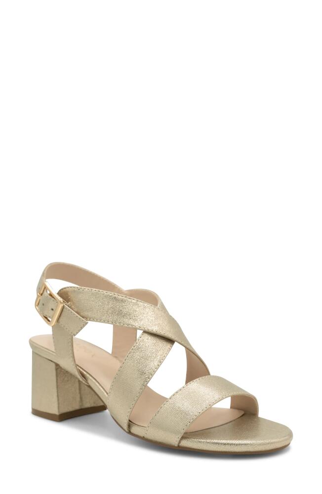 Paradox London Pink Ida Ankle Strap Sandal in Champagne Cover