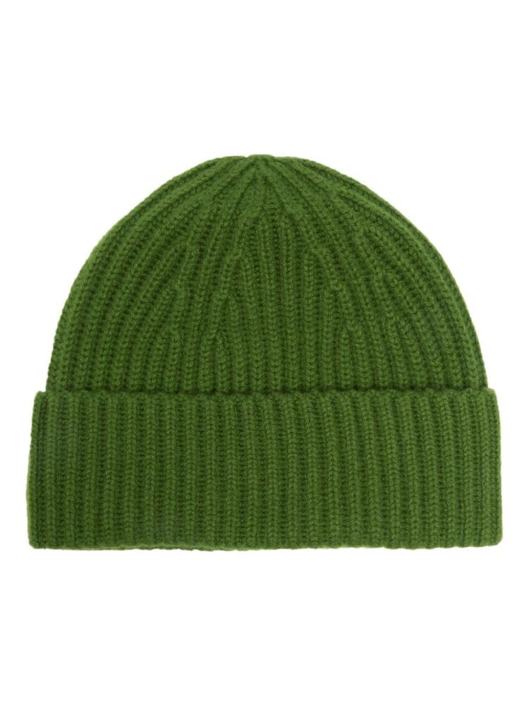 Lisa Yang Martigny beanie - Green Cover