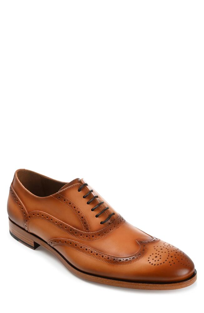 TAFT Beck Wingtip Oxford in Burnt Honey Cover