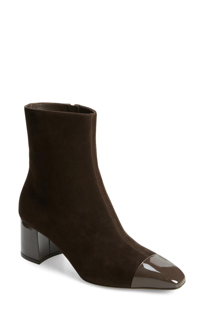 FERRAGAMO Sambi Cap Toe Bootie in Chocolate Brown Cover