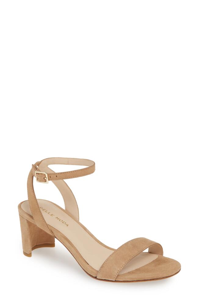 Pelle Moda Moira Sandal in Latte Suede Cover