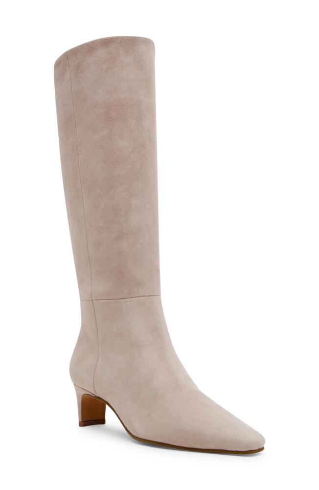 Steve Madden Dagne Knee High Boot in Taupe Suede Cover