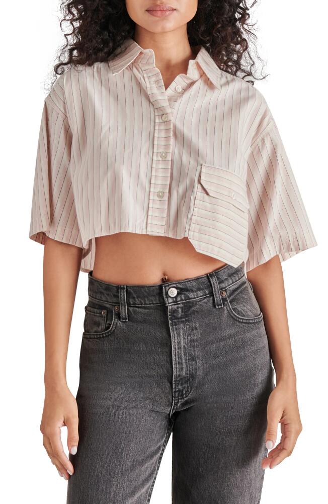 Steve Madden Tristan Stripe Oversize Crop Button-Up Shirt in Rose Taupe Cover