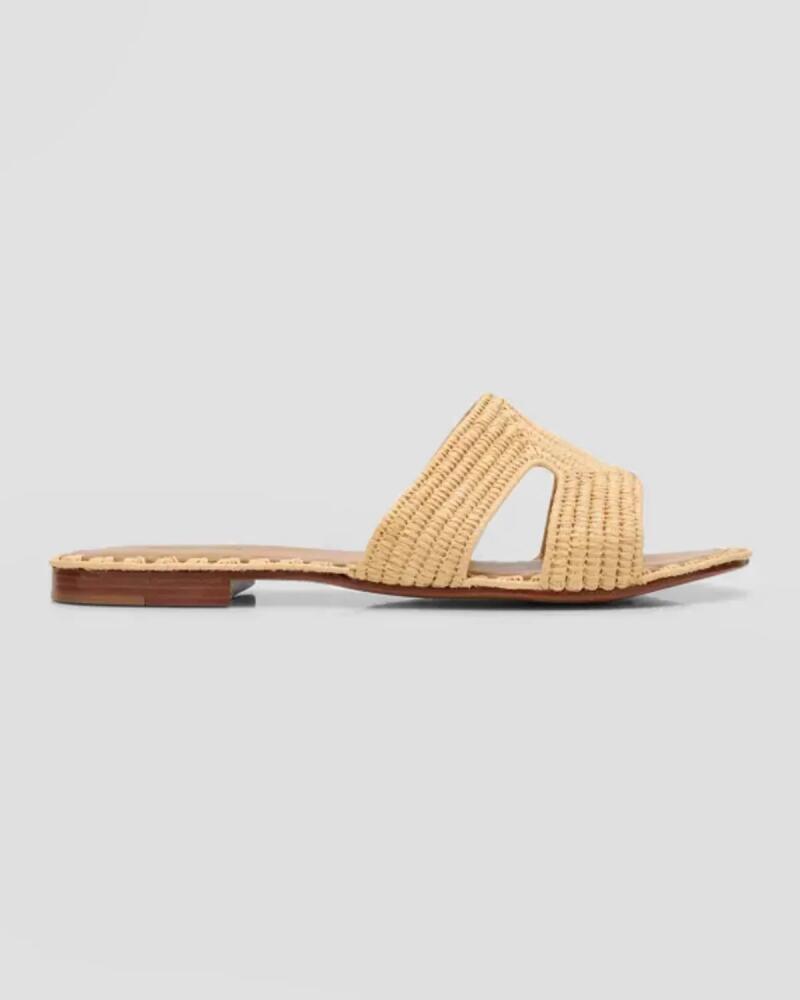 Carrie Forbes Cuadro Raffia Flat Slide Sandals Cover