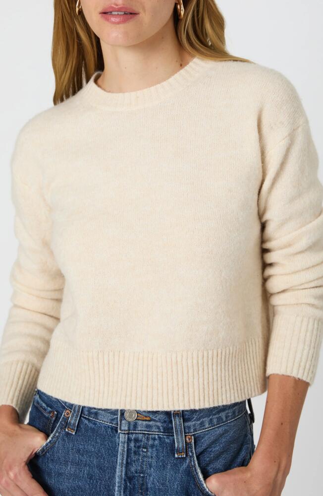 French Connection Kesia Crewneck Sweater in Light Oatmeal Melange Cover