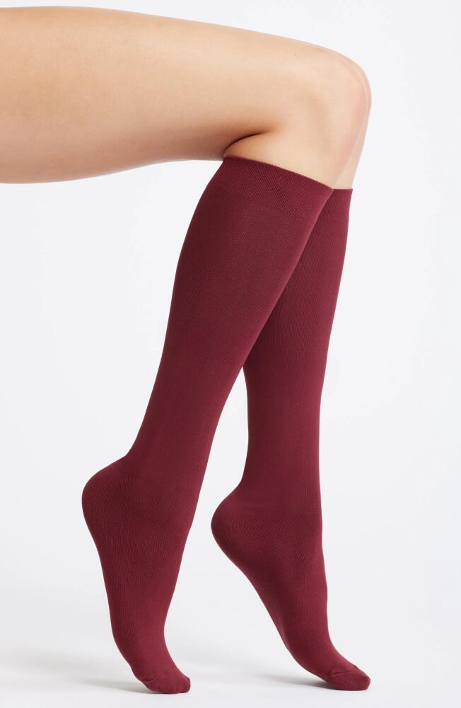 Nordstrom Opaque Mid Calf Socks in Red Grape Cover