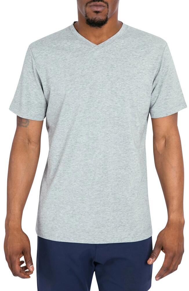 Public Rec Go-To V-Neck T-Shirt in Heather Silver Spoon Cover