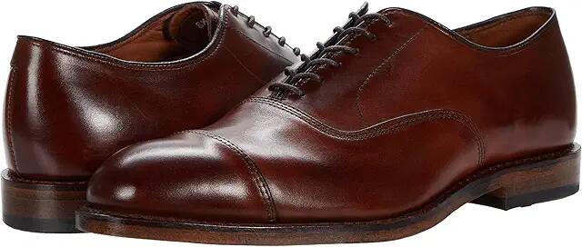 Allen Edmonds Park Avenue (Dark Chili) Men's Shoes Cover