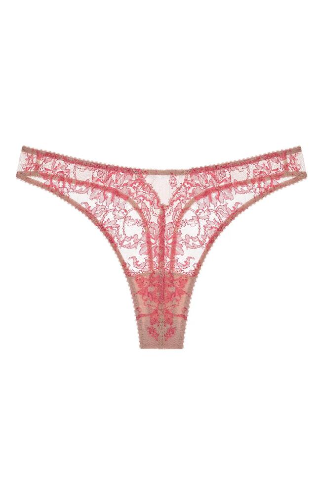 JOURNELLE Chloe Mesh & Lace Thong in Sorbet Cover