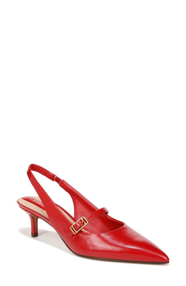 Franco Sarto Khloe Pointed Toe Kitten Heel Pump in Red Cover