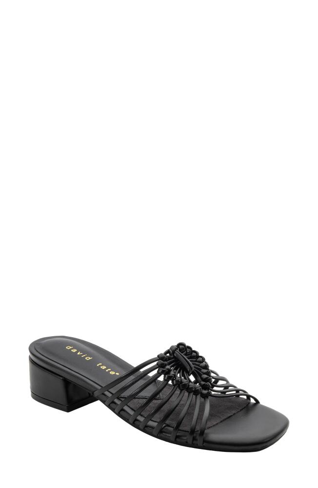 David Tate Excellent Strappy Slide Sandal in Black Cover