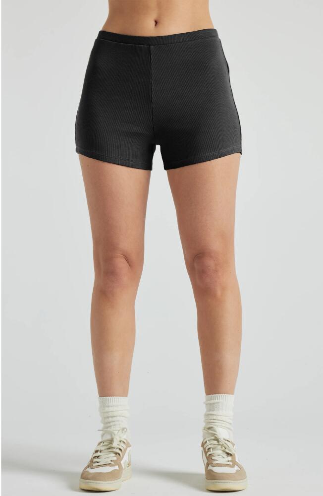 Losano Serene Rib Shorts in Black Cover