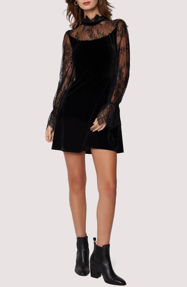 Lost + Wander Fiore Long Sleeve Minidress in Black Cover