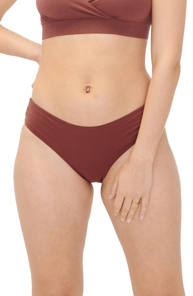 HATCH The Everyday Maternity/Postpartum Briefs in Anise Cover