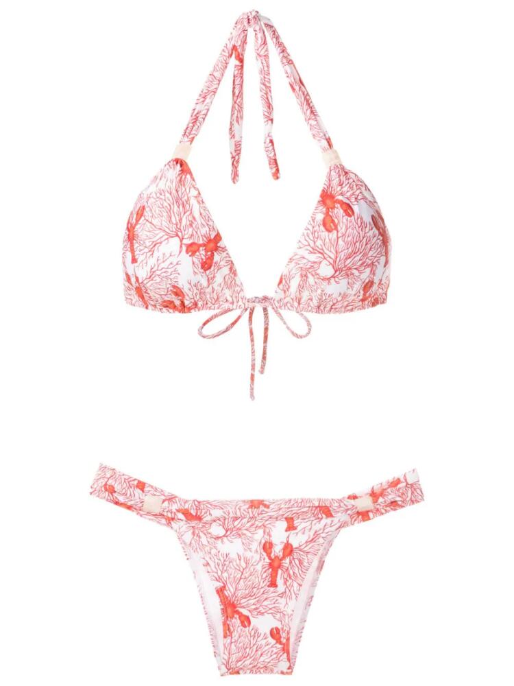 Brigitte sea life-print bikini set - Red Cover