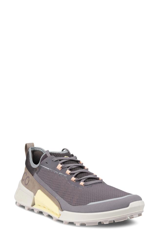 ECCO Biom 2.1 Low Tex Sneaker in Dusk/Dusk/Taupe Cover