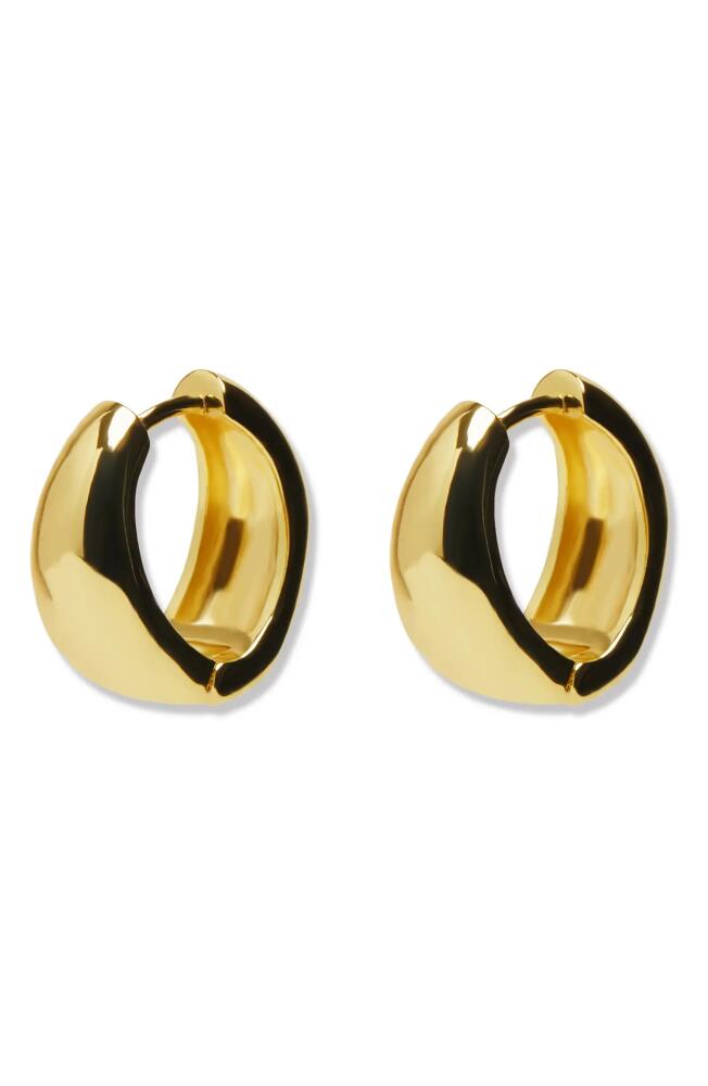 Argento Vivo Sterling Silver Bold Hoop Earrings in Gold Cover