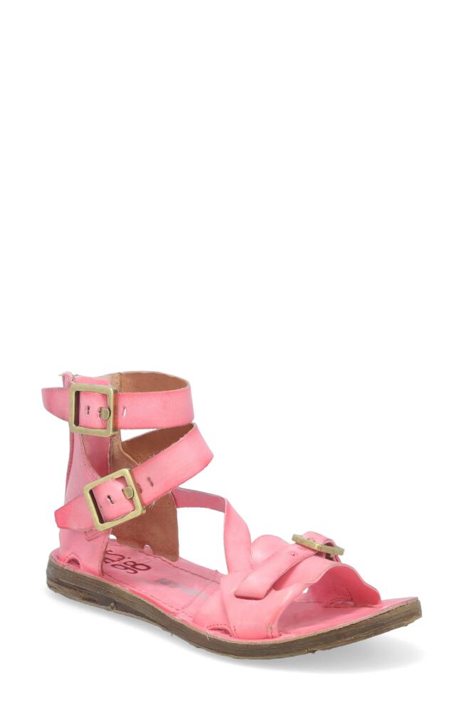 A. S.98 Reynolds Ankle Strap Sandal in Pink Cover