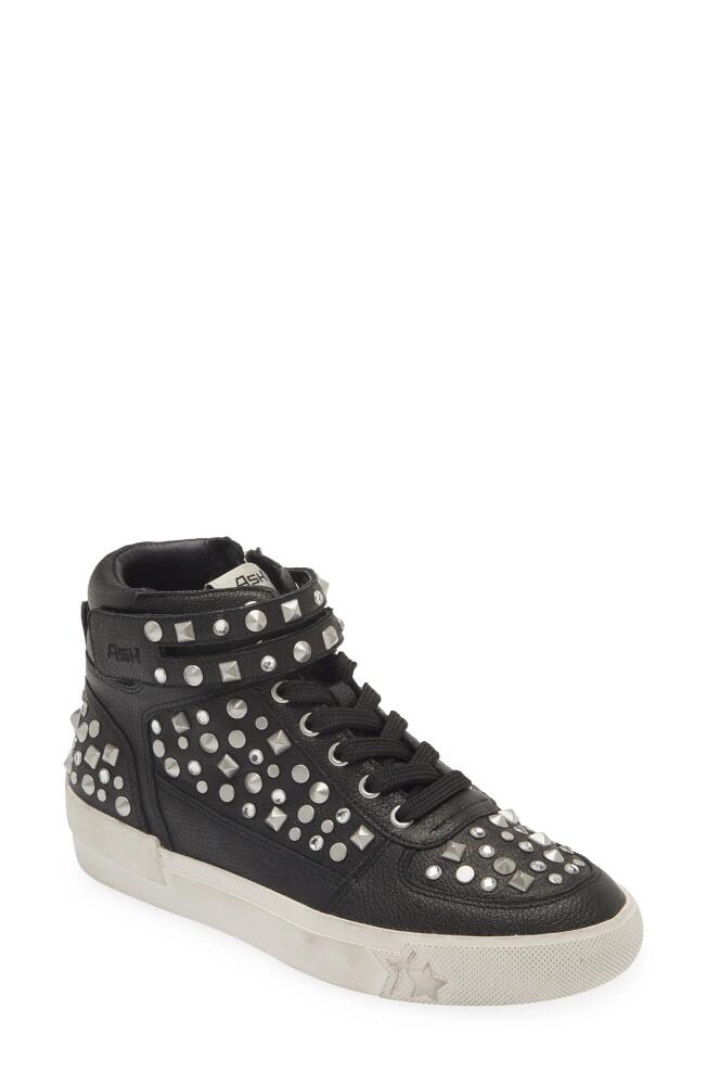 Ash Myraid Studded High Top Sneaker in Black Cover