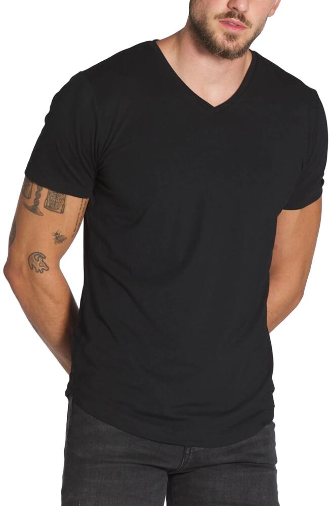 Cuts AO V-Neck Curved Hem Tee in Black Cover