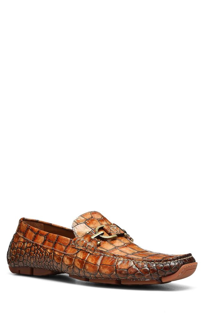 Donald Pliner Dacio Driving Shoe in Cognac Cover