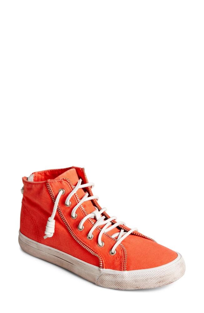 Sperry x Rebecca Minkoff Washed Canvas High Top Sneaker in Orange Cover