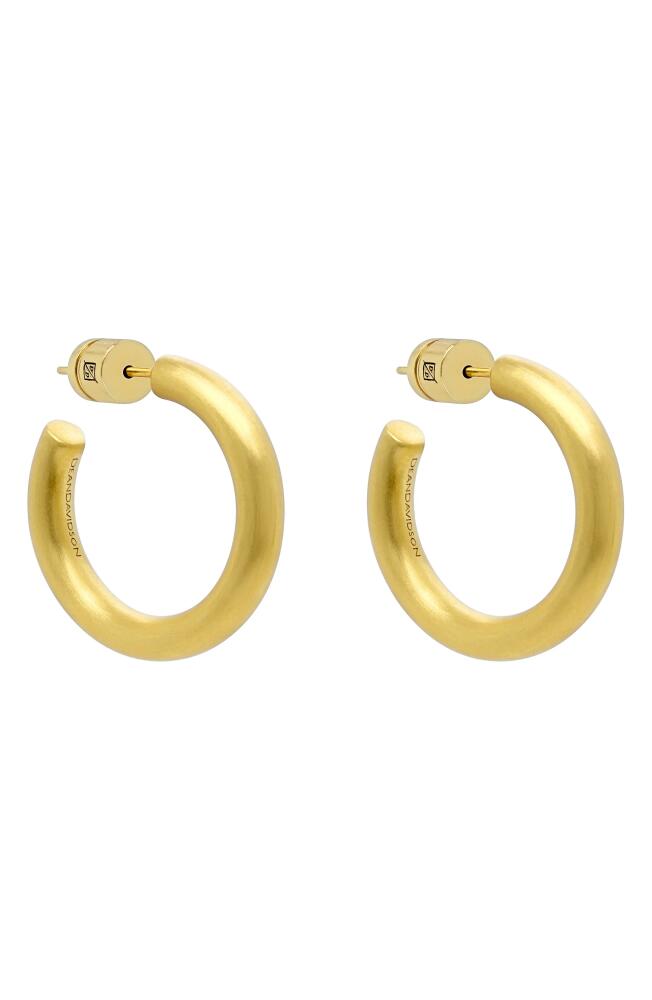 Dean Davidson Mini Dune Huggie Hoop Earrings in Gold Cover