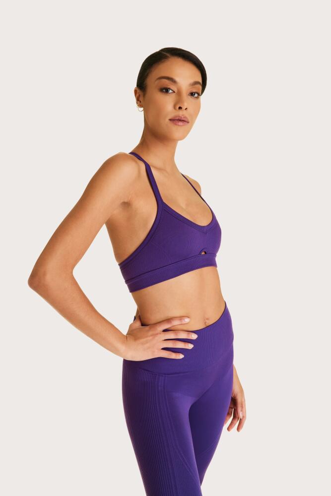 ALALA Barre Cami Bra in Royal Purple Cover