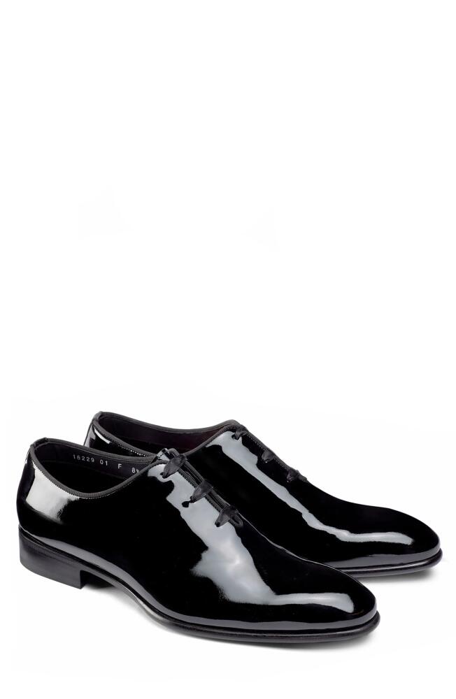 Santoni Padova Oxford in Black-N01 Cover