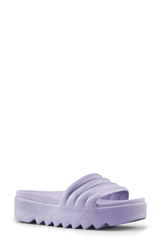 Cougar Pool Party Platform Slide Sandal in Lavender Cover