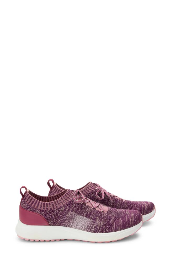 TRAQ by Alegria Peaq Knit Sneaker in Plum Fabric Cover