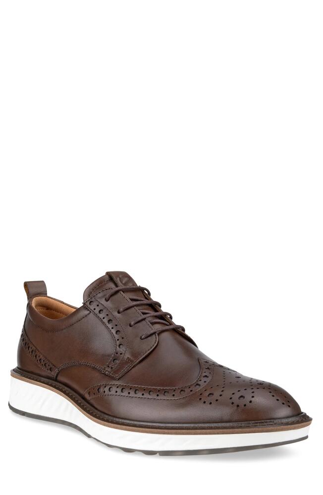 ECCO ST.1 Hybrid Wingtip in Cocoa Brown Cover