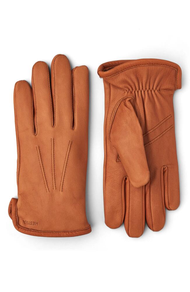 Hestra Andrew Leather Gloves in Cork Cover