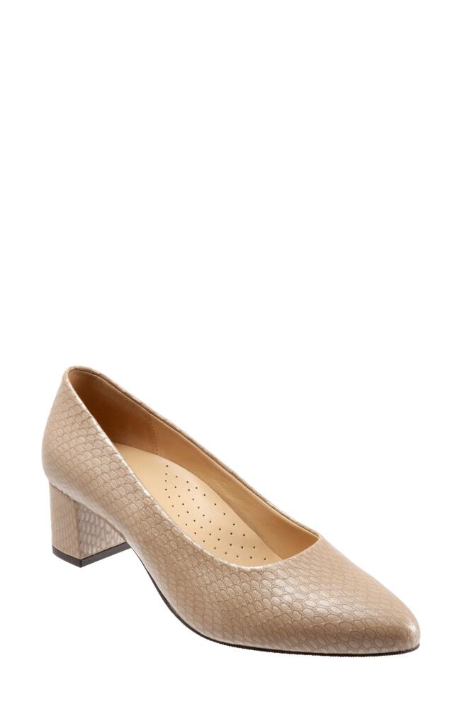 Trotters Kari Pointy Toe Pump in Taupe Snake Embossed Leather Cover