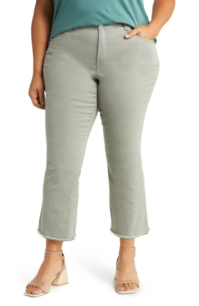 Wit & Wisdom 'Ab'Solution Mid Rise Crop Pants in Deep Seagrass Cover