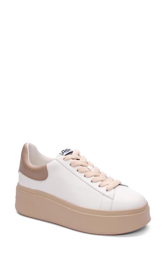 Ash Moby Platform Sneaker in White Cover