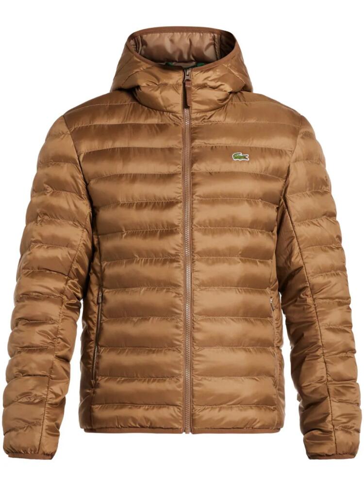 Lacoste padded jacket - Brown Cover