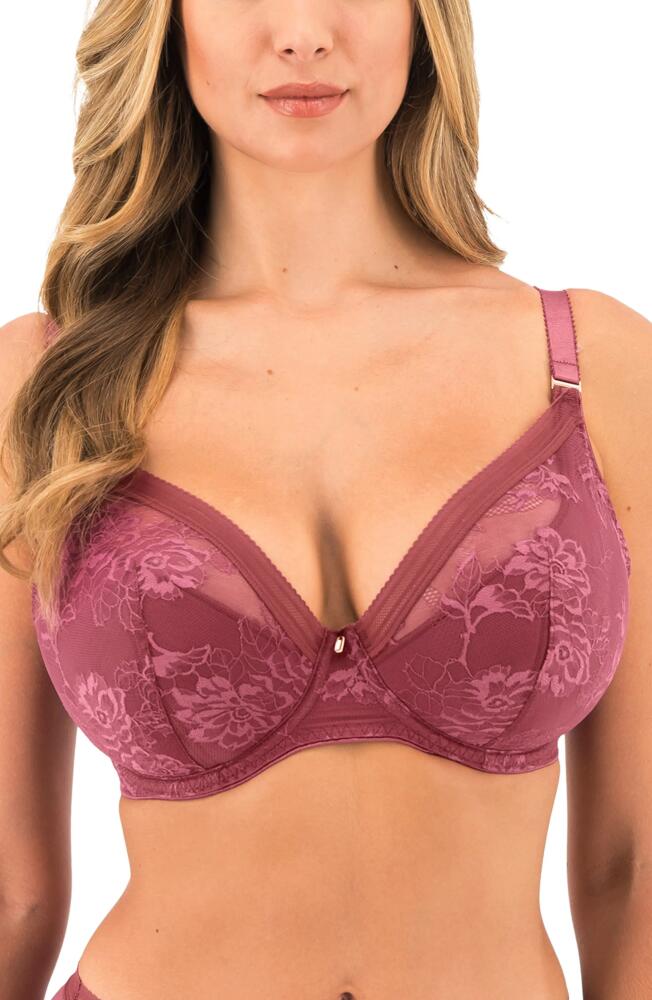 Fantasie Fusion Lace Underwire Plunge Bra in Rosewood Cover