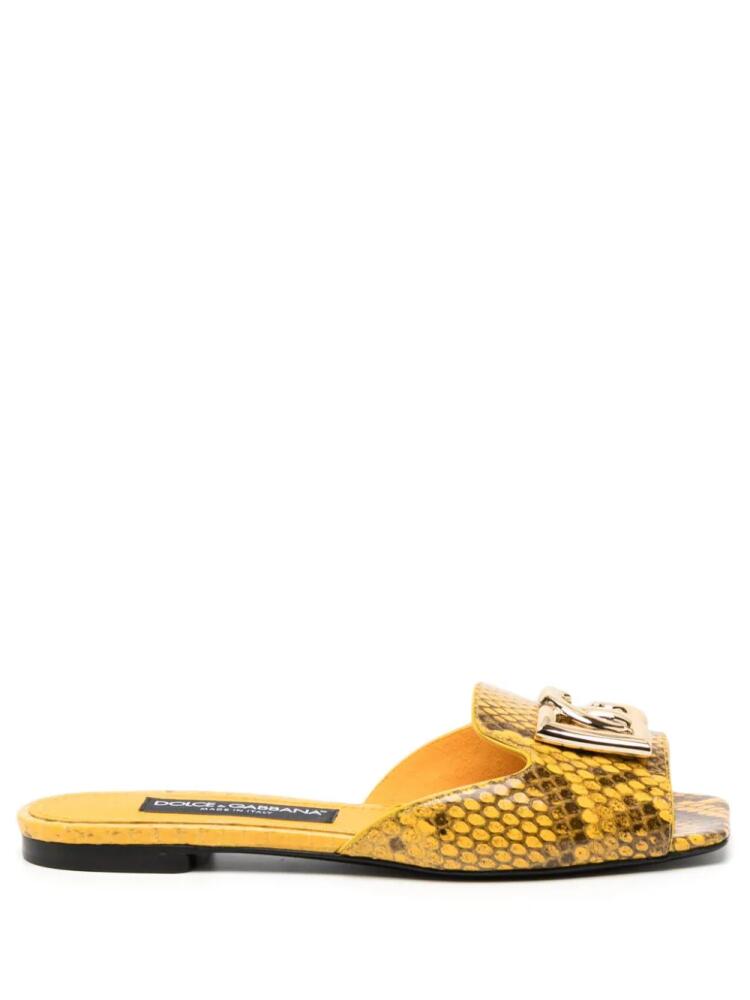 Dolce & Gabbana logo-plaque snakeskin slides - Yellow Cover