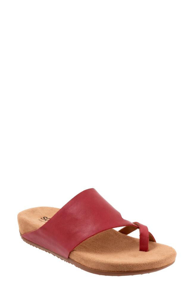 SoftWalk Blaine Slide Sandal in Dark Red Cover