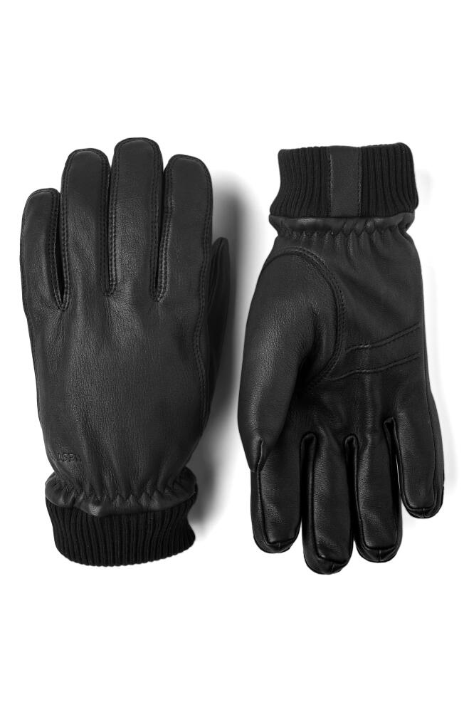 Hestra Tore Deerskin Leather Gloves in Black Cover