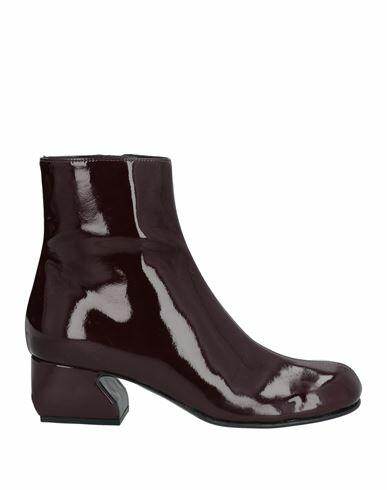 Si Rossi By Sergio Rossi Woman Ankle boots Deep purple Latex Cover