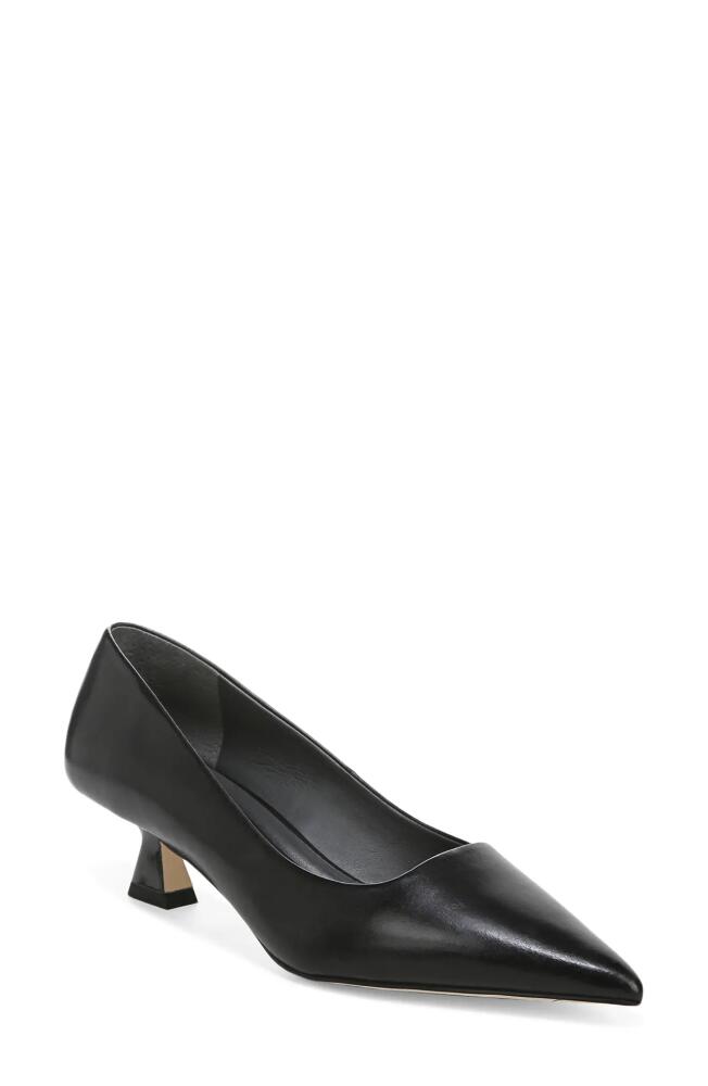 SARTO by Franco Sarto Diva Kitten Heel Pointed Toe Pump in Black Cover