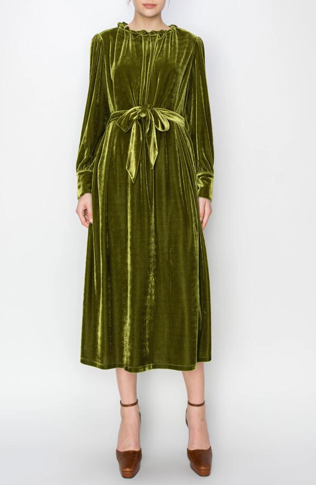 MELLODAY Belted Long Sleeve Velvet Midi Dress in Olive Cover