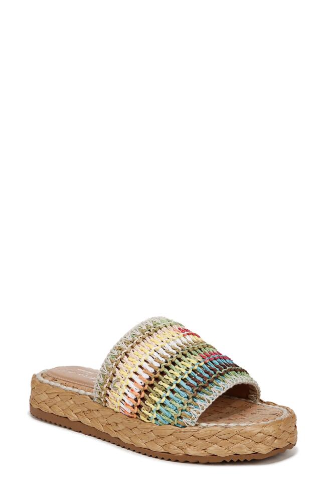 Circus NY by Sam Edelman Wallis Slide Sandal in Rainbow Multi Cover