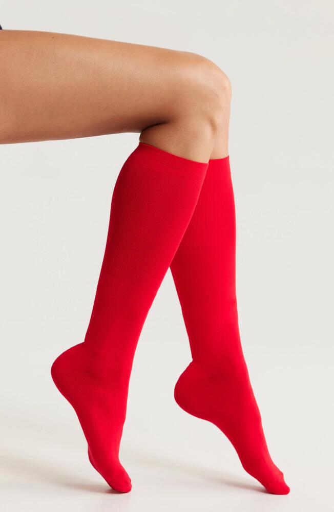 Nordstrom Opaque Knee High Socks in Red Toreador Cover