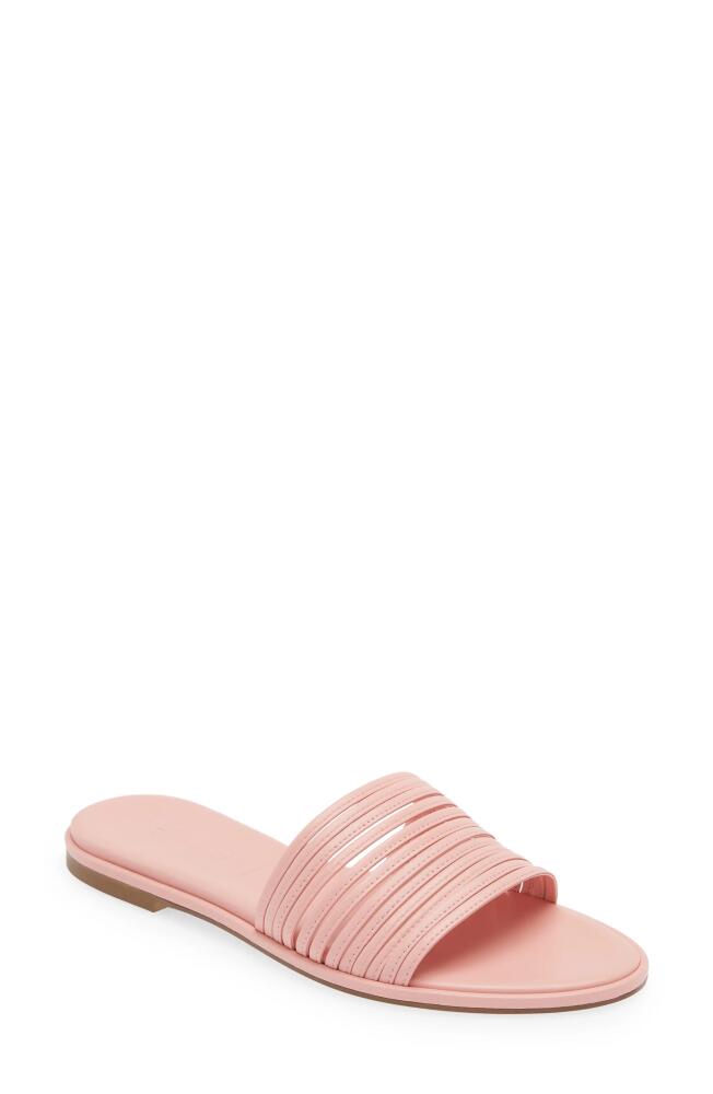 aeyde Noa Slide Sandal in Pink Cover