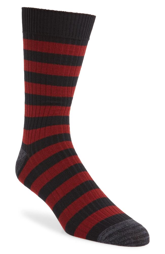 Nordstrom Random Feed Stripe Crew Socks in Navy- Red Cover