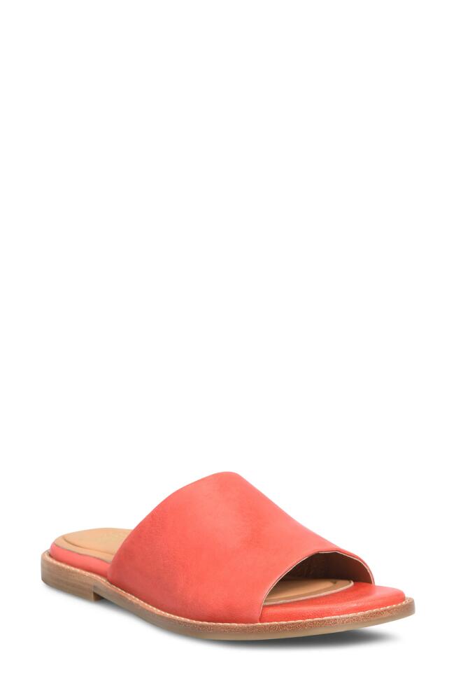 Söfft Noble Slide Sandal in Coral Cover